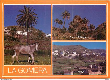CPM La Gomera Ane Donkey