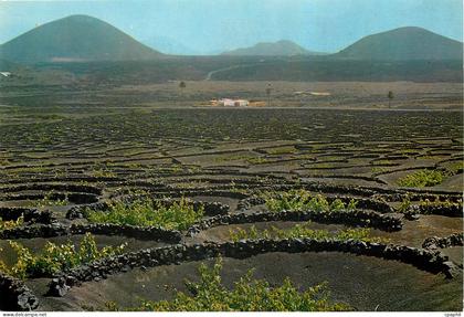 CPM Lanzarote La Geria