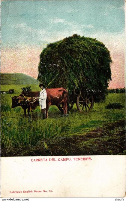 PC SPAIN TENERIFE CARRETA DEL CAMPO, TENERIFE. (a80563)