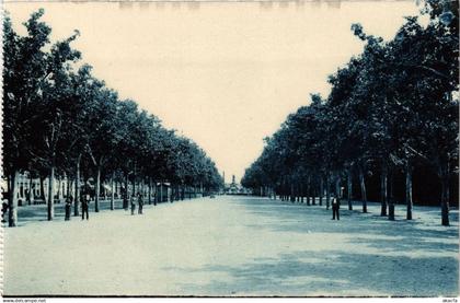 CPA VALLADOLID 27 Campo Grande SPAIN (674378)