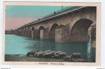 BADAJOZ PUENTE PALMAS  ESPANA