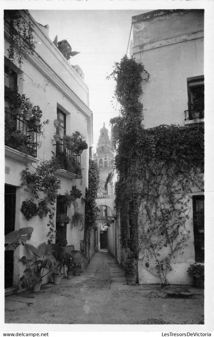 Espagne - CORDOBA - Ruelle des fleurs