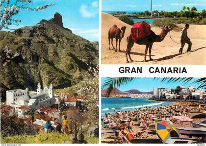 CPM Gran Canaria
