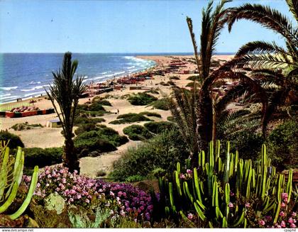 CPM Gran Canaria Playa del Ingles
