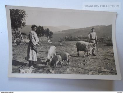 D161445  SAN SEBASTIAN - Tipos y escenas Vascas - Foto Galarza - sheep pigs cochon mouton