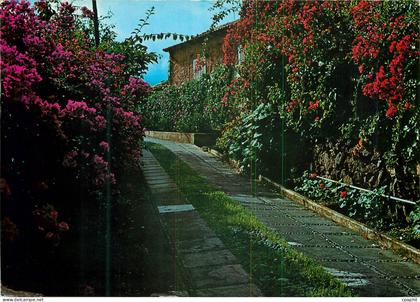 CPM Islas canarias paisage typique avec fleur