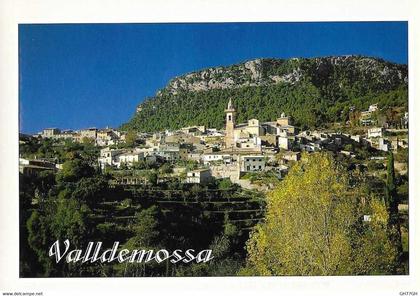 CP MALLORCA VALLDEMOSSA
