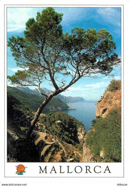 Espagne - Espana - Islas Baleares - Mallorca - Estallenchs - CPM - Voir Scans Recto-Verso