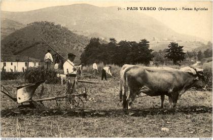 Guipuzcoa - Faenas Agricolas