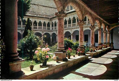 CPM Salamanca Couvent des Duenas Cloitre