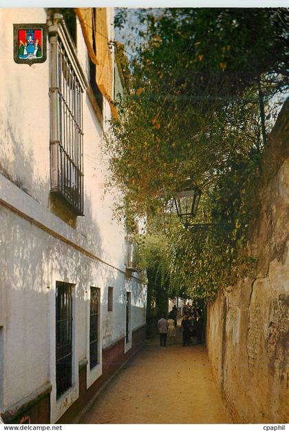 CPM Sevilla sevilla typique ruelle d'eau