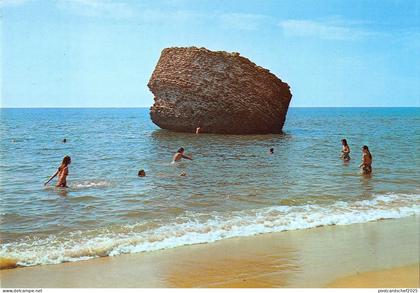 BR85137 torre la higuera almonte huelva spain