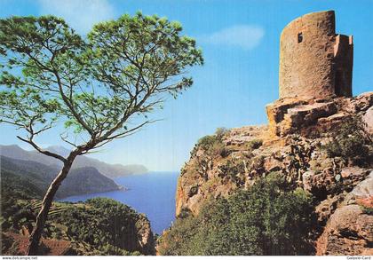 ESPAGNE BANALBUFAR TOUR DES AMES