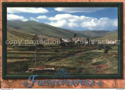 Fuerteventura Agua de Bueyes