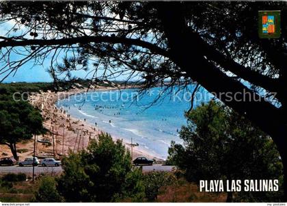 Ibiza Islas Baleares Playa Las Salina