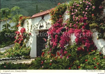 Islas Canarias A typical scene