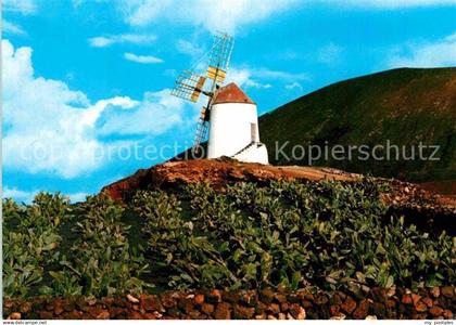 Lanzarote Kanarische Inseln Windmuehle