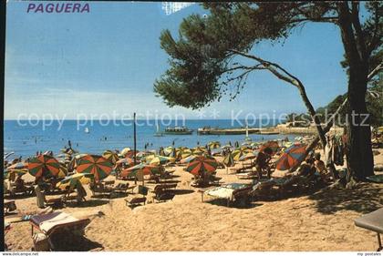 Paguera Mallorca Islas Baleares Strand
