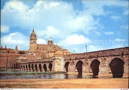 Salamanca Castilla y Leon Catedral y Puenta Romano