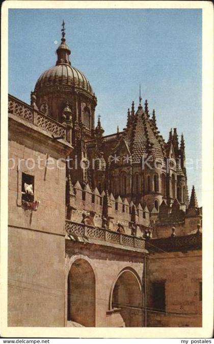 Salamanca Castilla y Leon Torre del Gallo