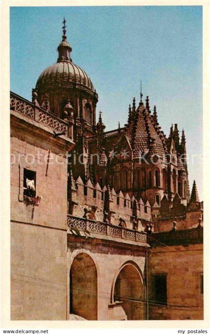 Salamanca Castilla y Leon Torre del Gallo