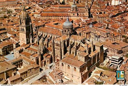 Salamanca Cathedrales Vista aerea