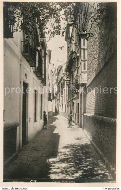 Sevilla Andalucia Calle Pimienta
