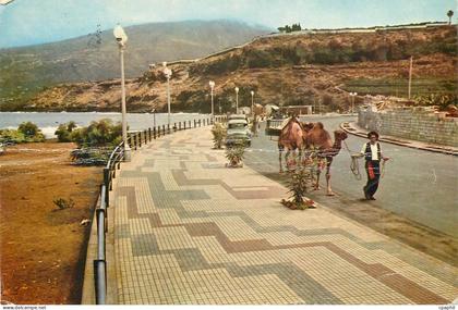 CPM Tenerife Santa Cruz de Tenerife Promenade de Colomb