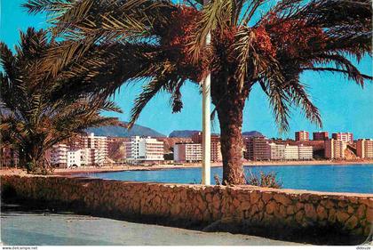 Carte Postale - Espagne - Espana - Comunidad Valenciana - Benidorm - Palmiers - CPM - Voir Scans Recto-Verso - Poscard -