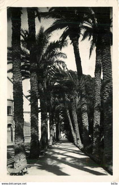 Espagne - ALMERIA