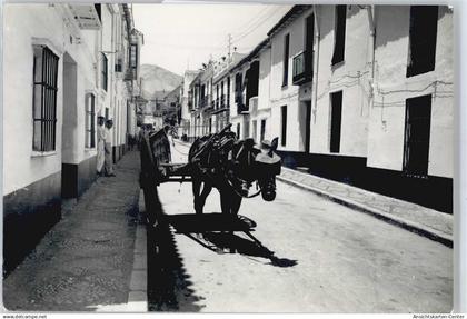 50519274 - Malaga