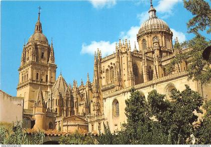 B33293 Salamanca Catrdrales Nueva  spain