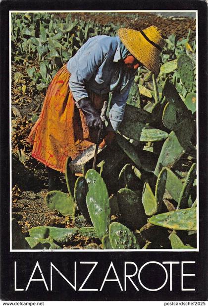 B96489 lanzarote spain 1