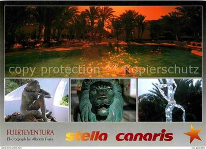 Fuerteventura Stella Canaris