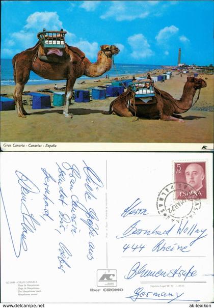Gran Canaria Gran Canaria Canarias España Playa de Maspalomas Kamel 1972