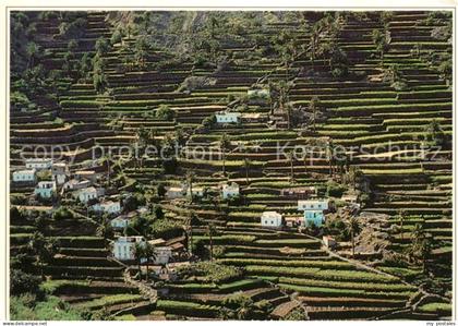 La Gomera Bancales de Valle Gran Rey