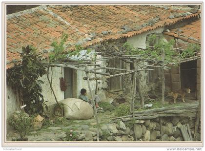 AK La Gomera Casa campesina tipica valle Benchijigua Islas Canarias Kanaren Espana Espagne Spain Spanien