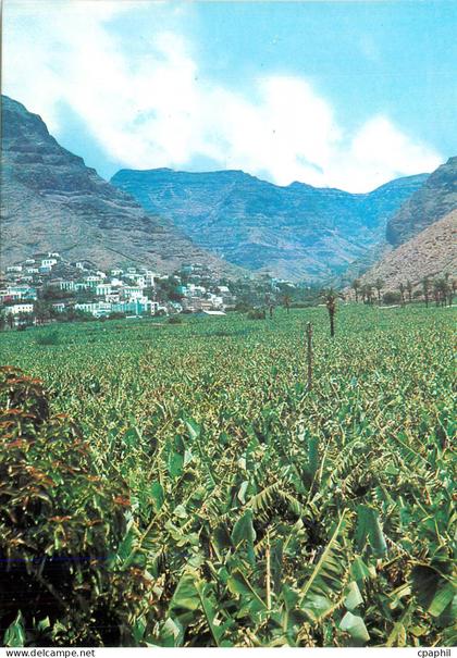CPM Valle Gran Rey Gomera Vue depuis  (La Puntilla)