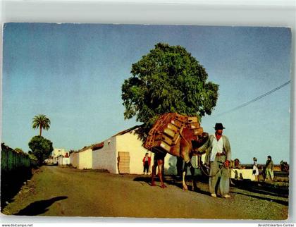 39578059 - Las Palmas de Gran Canaria