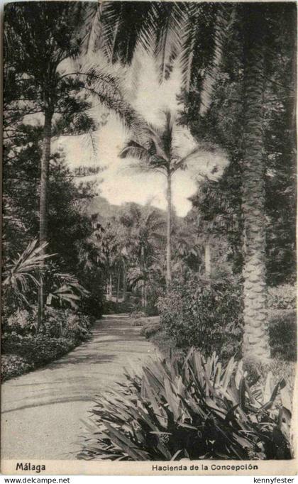 Malaga - Hacienta de la Conceptionsco