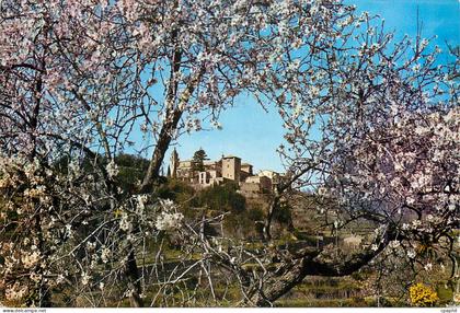CPM Valldemosa Mallorca