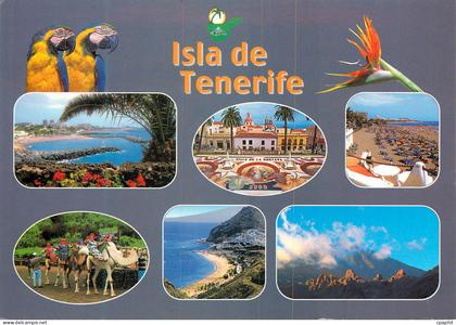 CPM Tenerife Isla de Tenerife Perroquet