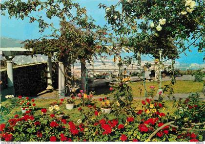 Espagne - Espana - Islas Canarias - Tenerife - Santa Cruz de Tenerife - Vistabella - Fleurs - CPM - Voir Scans Recto-Ver