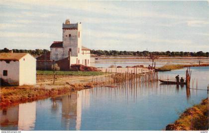 CPM Valencia l'Albufera detail