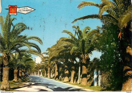 CPM Valencia Les Palmiers