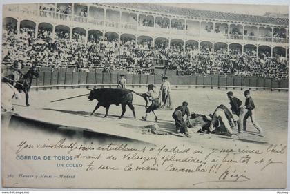 CORRIDA DE TOROS - UN COLEO