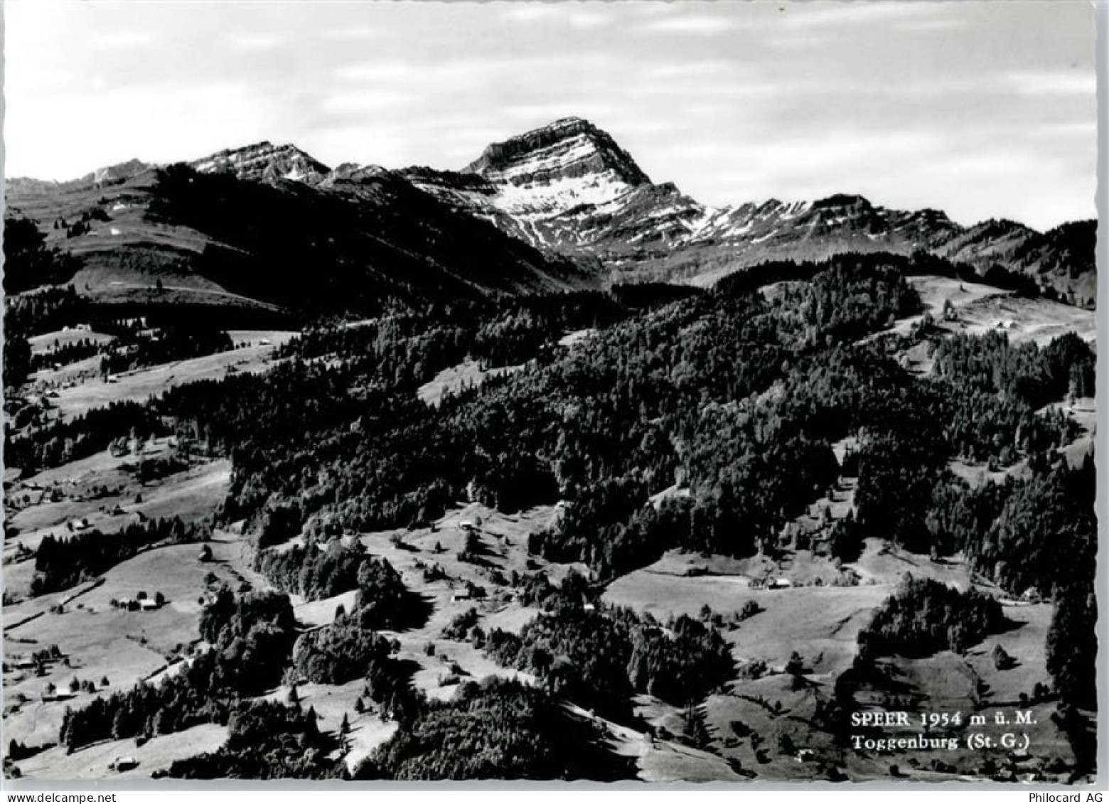 Speer Walensee - 50799401