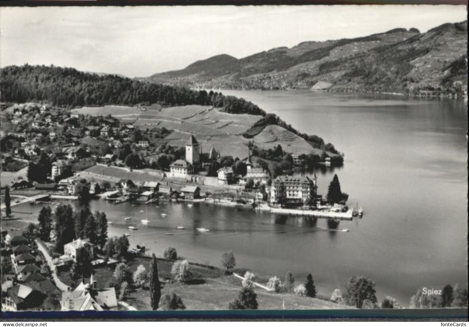Spiez BE Spiez Fliegeraufnahme