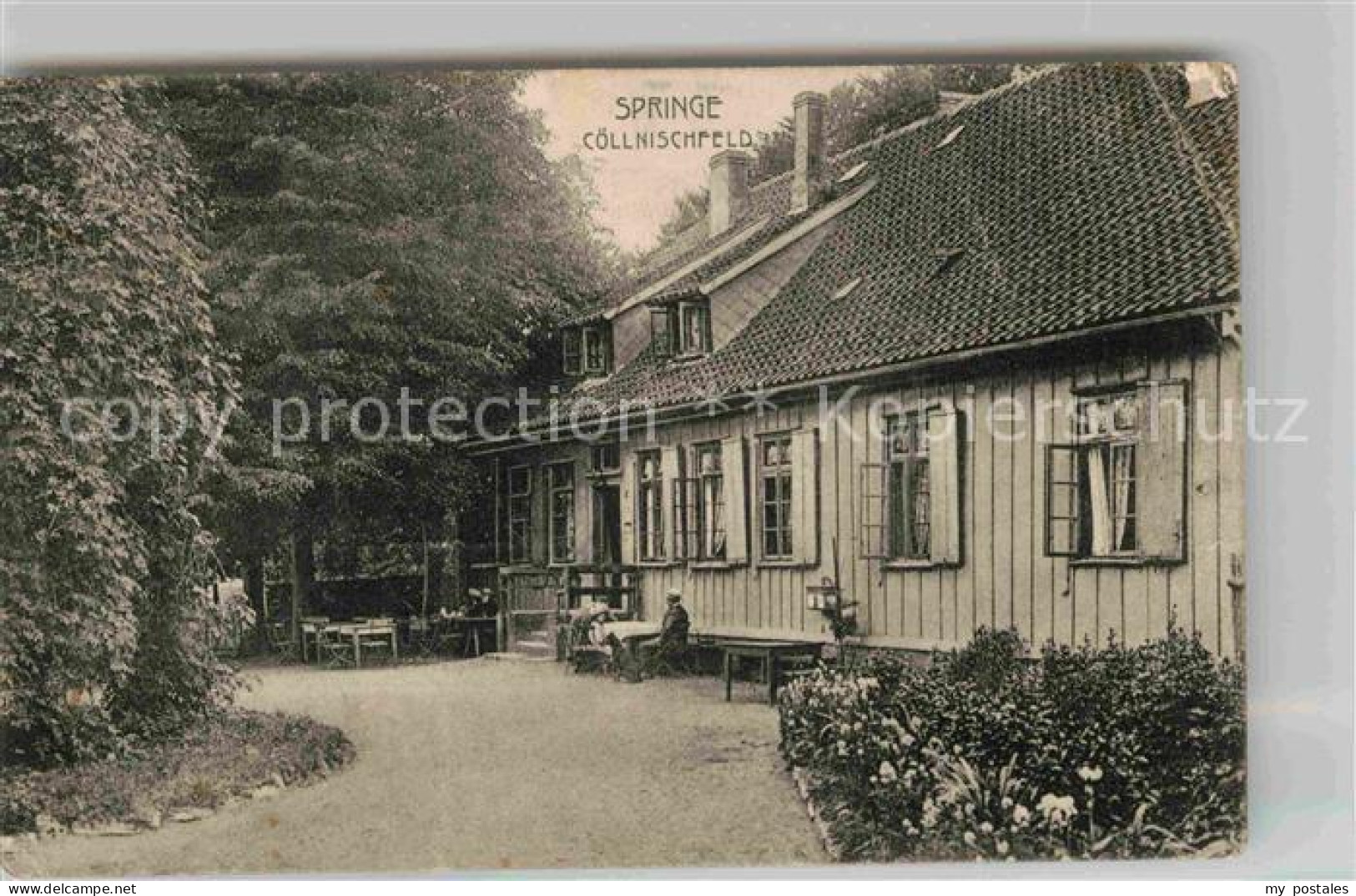 Springe Deister Coellnischfeld