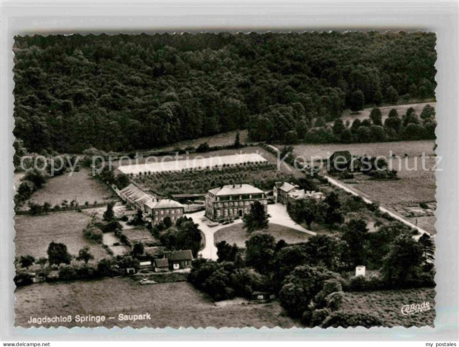 Springe Deister Jagdschloss Springe Saupark Fliegeraufnahme
